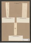 Pleurosigma decorum var. dalmaticum Grun. (de-Toni-Nr.: Genus 13, Species 1041) Zeichnungen Sammlung Grunow Nr. 2100 (NHMW-BOT-W0368972)